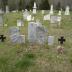 Lindsay Cemetery