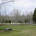 Lindsay Cemetery