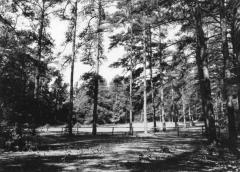Aiken Winter Colony Historic District I