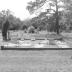Aiken Colored Cemetery