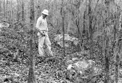 Allendale Chert Quarries Archeological District
