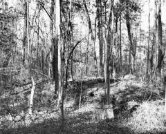 Lawton Mounds