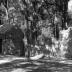 Sams Plantation Complex Tabby Ruins