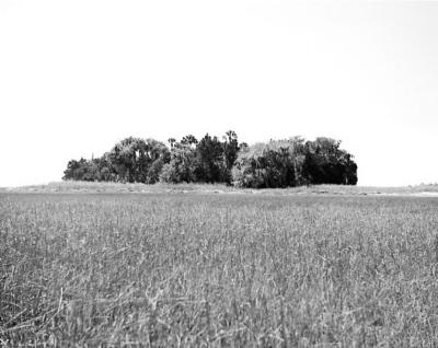Buzzard's Island Site