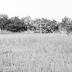 Fig Island Site