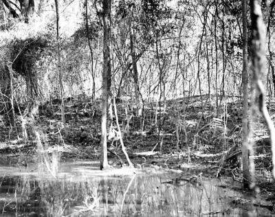 Auld Mound