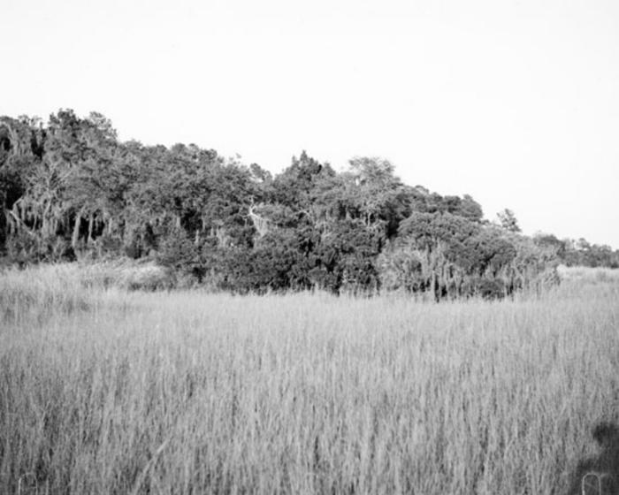 Sewee Mound