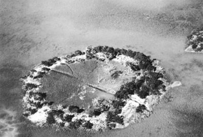 Fig Island Site