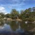 Charleston Cemeteries Historic District