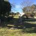 Charleston Cemeteries Historic District