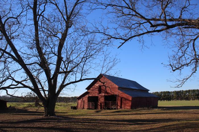 Alpheus Victor and Martha Cooper Bethea Farmstead