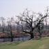 Middleton Place
