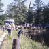 Brown's Ferry Vessel
