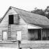 Friendfield Plantation