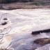Reedy River Falls Historic Park and Greenway