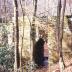 Poinsett Bridge