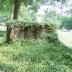 Kinard House