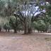 Gravel Hill Plantation
