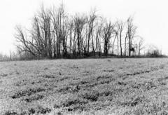 McDowell Site