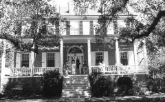 Mulberry Plantation