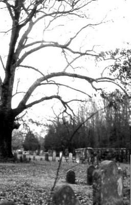 Waxhaw Presbyterian Church Cemetery