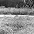 Taylor Site