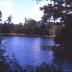 Eutaw Springs Battleground Park