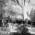 Mountain Shoals Plantation