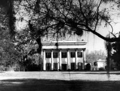 Millford Plantation
