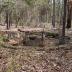 Poinsett State Park Historic District