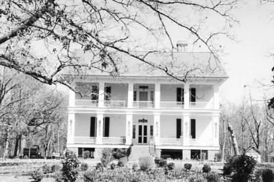 Woodland Plantation