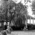 Wilson, John Calvin, House