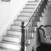 Springfield Plantation House