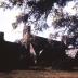 Richmond Plantation