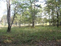 Cowpens National Battlefield