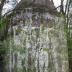 Shivar Springs Bottling Company Cisterns