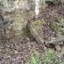 Shivar Springs Bottling Company Cisterns