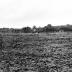 Blair Mound