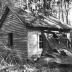 Hobcaw Barony