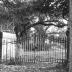 Hobcaw Barony