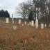 Old Pilgrim Baptist Church Cemetery and Kilgore Family Cemetery