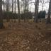 Old Pilgrim Baptist Church Cemetery and Kilgore Family Cemetery