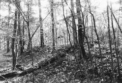 Northwest Boundary Dike