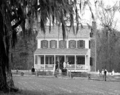 Thorntree