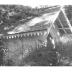 Arundel Plantation