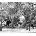 Bellefield House