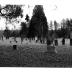 Six Mile Creek Church & Cemetery