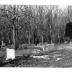 Rose Hill Bapist Churh Cemetery