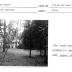 "Pine Grove"