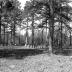 Black Oak Reinterment Cemetery